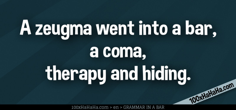 A zeugma went into a bar, a coma, therapy and hiding.