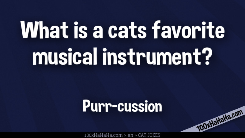 What is a cats favorite musical instrument? / / Purr-cussion