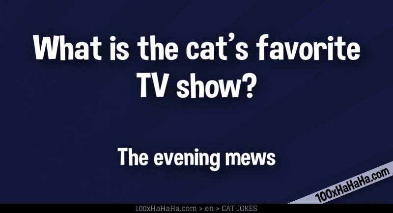 What is the cat's favorite TV show? / / The evening mews