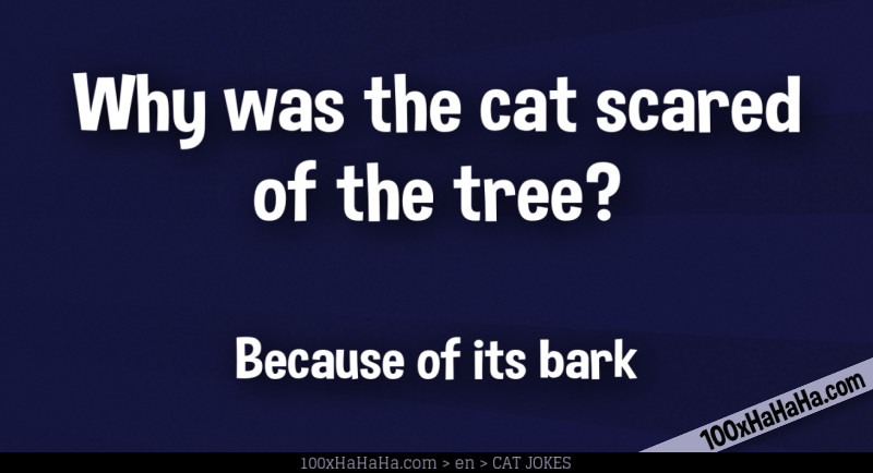 Why was the cat scared of the tree? / / Because of its bark