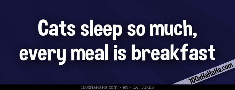Cats sleep so much, every meal is breakfast