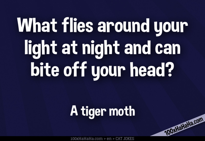 What flies around your light at night and can bite off your head? / / A tiger moth