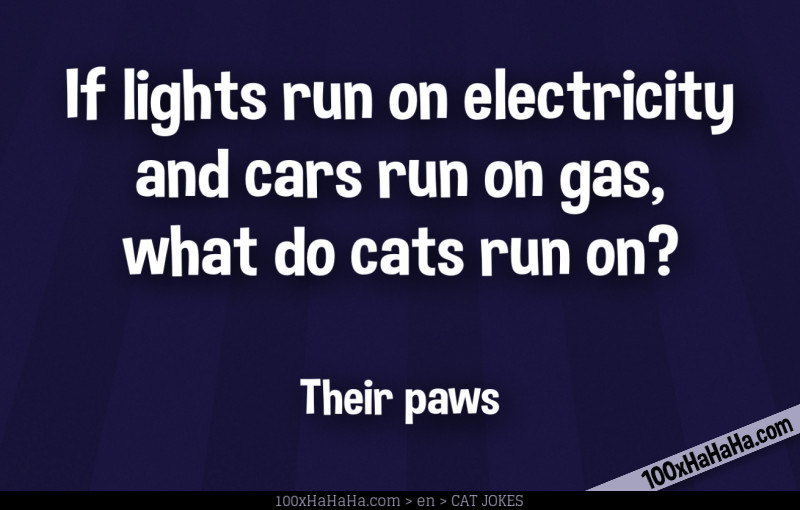 If lights run on electricity and cars run on gas, what do cats run on? / / Their paws