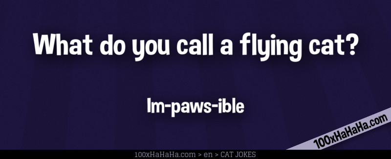 What do you call a flying cat? / / Im-paws-ible