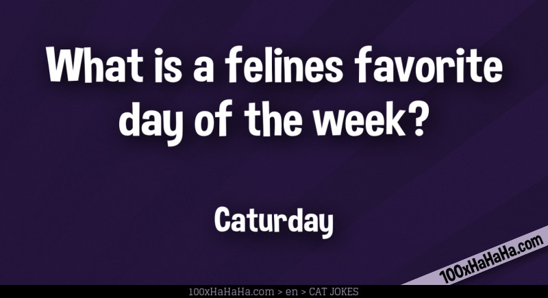 What is a felines favorite day of the week? / / Caturday