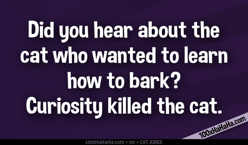 Did you hear about the cat who wanted to learn how to bark? Curiosity killed the cat.