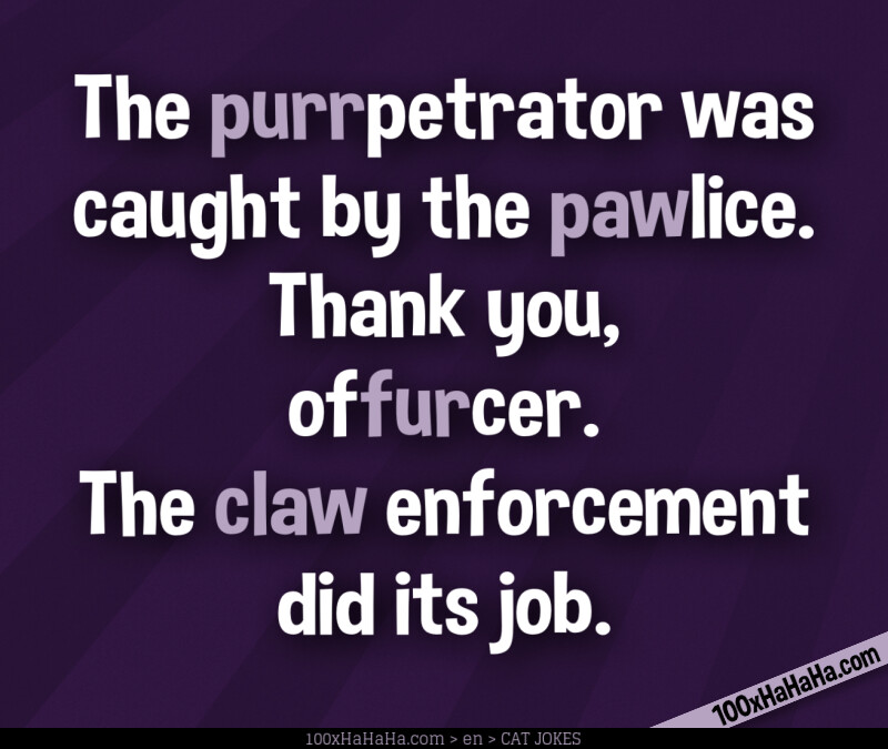The purrpetrator was caught by the pawlice. Thank you, offurcer. The claw enforcement did its job.