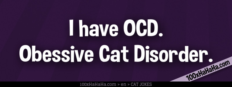 I have OCD. Obessive Cat Disorder.