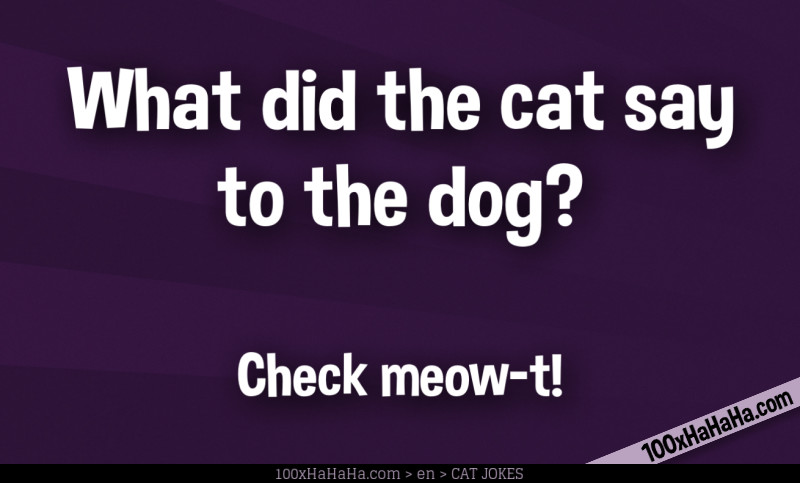 What did the cat say to the dog? / / Check meow-t!