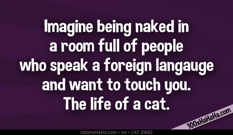 Imagine being naked in a room full of people who speak a foreign langauge and want to touch you. The life of a cat.
