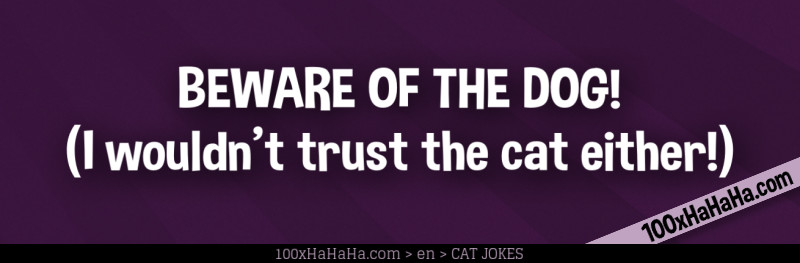 BEWARE OF THE DOG! / (I wouldn't trust the cat either!)