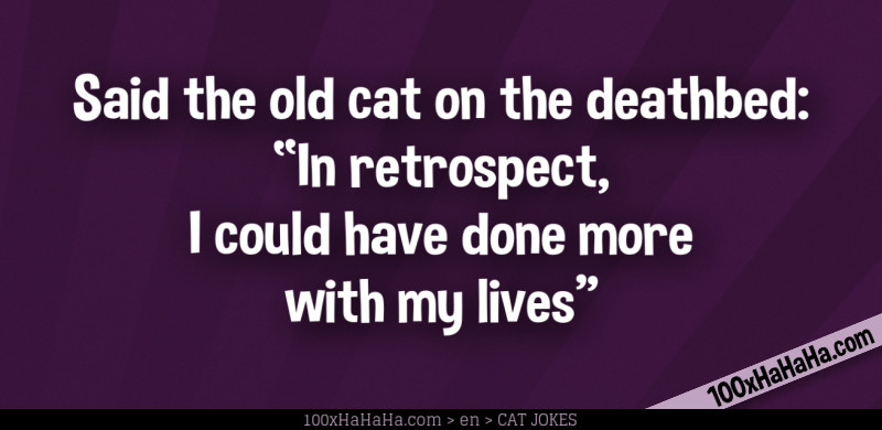 Said the old cat on the deathbed: "In retrospect, I could have done more with my lives"
