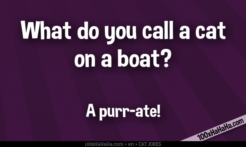 What do you call a cat on a boat? / / A purr-ate!