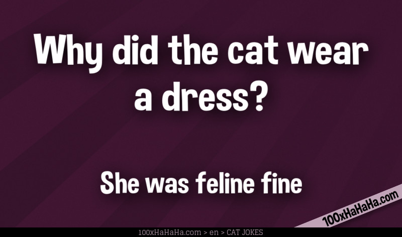 Why did the cat wear a dress? / / She was feline fine