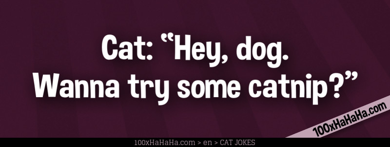 Cat: "Hey, dog. Wanna try some catnip?"