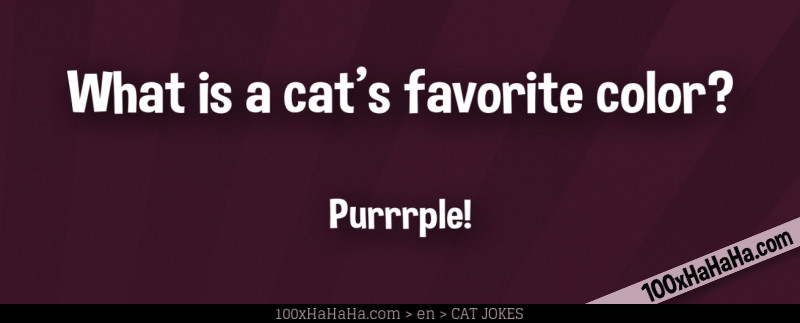 What is a cat's favorite color? / / Purrrple!