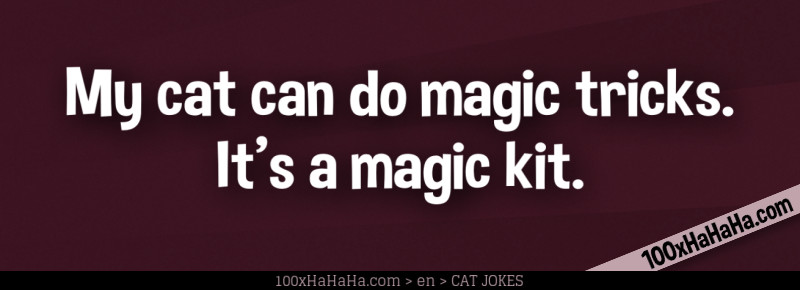 My cat can do magic tricks. It's a magic kit.