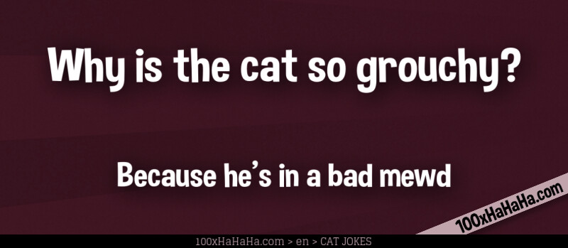 Why is the cat so grouchy? / / Because he's in a bad mewd