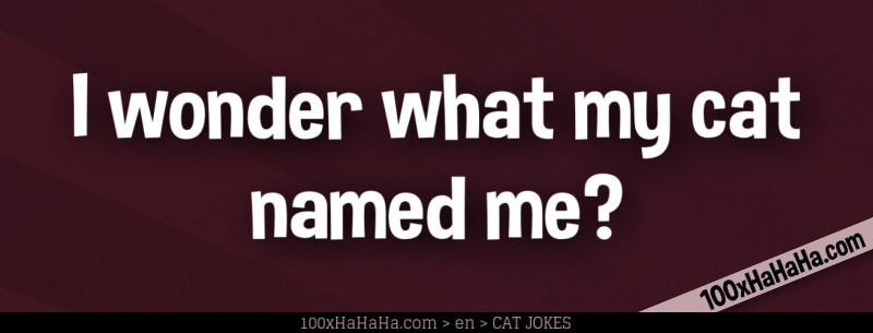 I wonder what my cat named me?