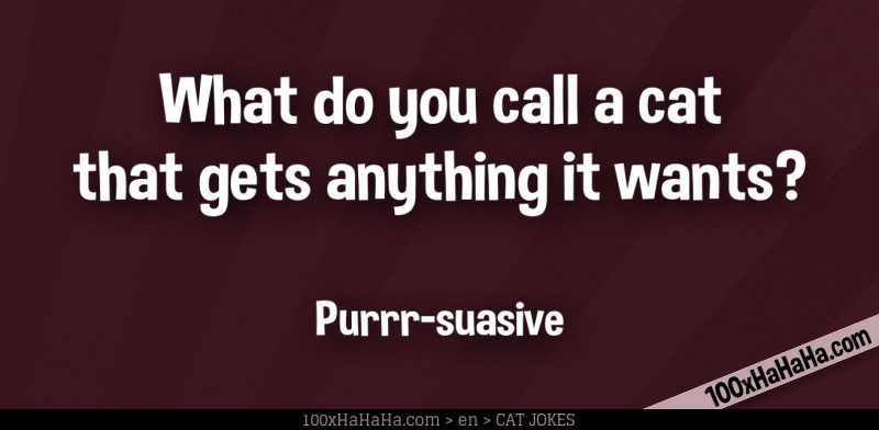 What do you call a cat that gets anything it wants? / / Purrr-suasive