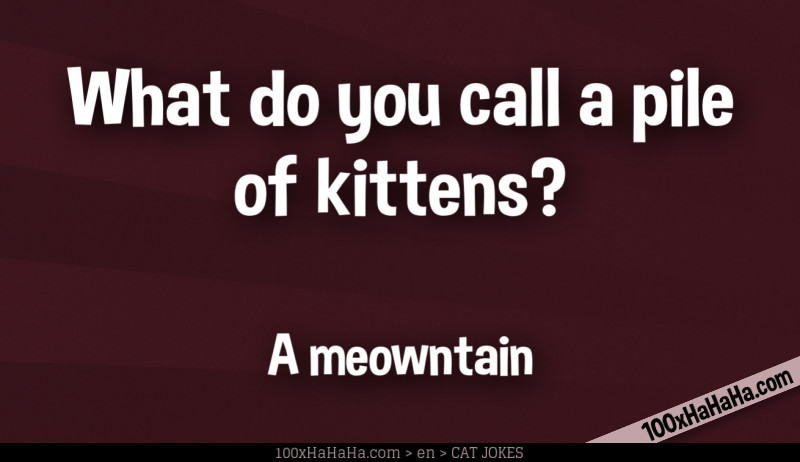 What do you call a pile of kittens? / / A meowntain