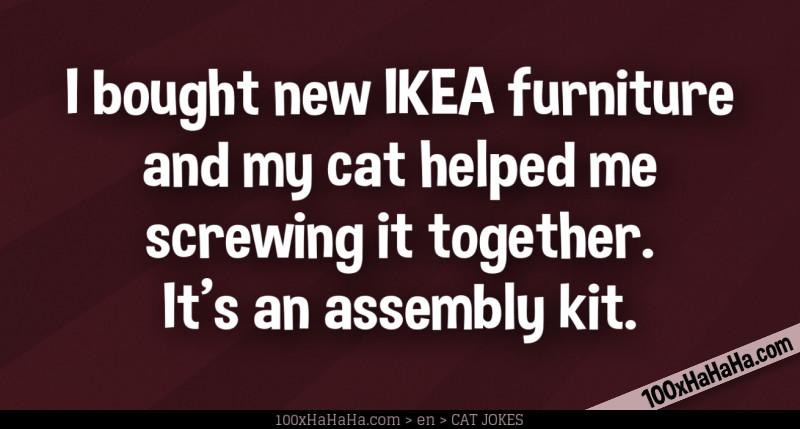 I bought new IKEA furniture and my cat helped me screwing it together. It's an assembly kit.
