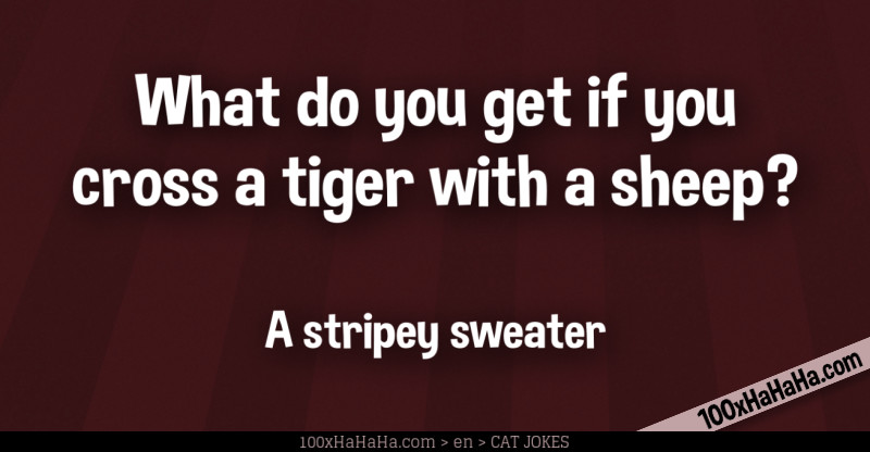What do you get if you cross a tiger with a sheep? / / A stripey sweater