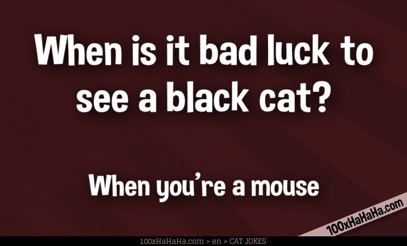 When is it bad luck to see a black cat? / / When you're a mouse
