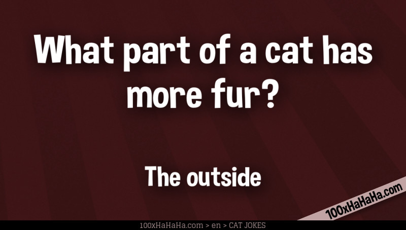 What part of a cat has more fur? / / The outside