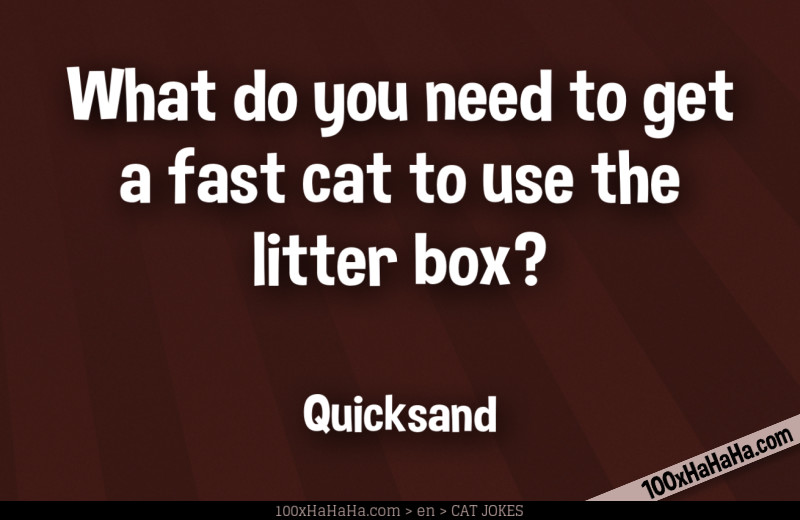 What do you need to get a fast cat to use the litter box? / / Quicksand