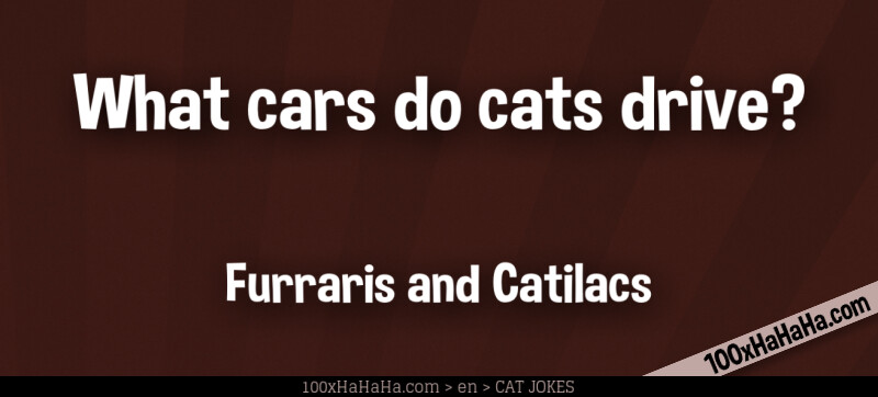 What cars do cats drive? / / Furraris and Catilacs