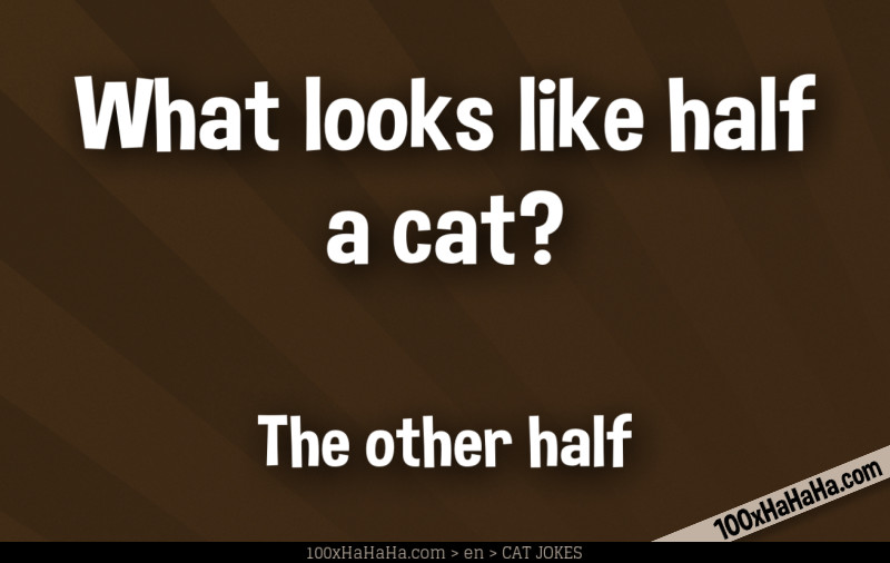 What looks like half a cat? / / The other half