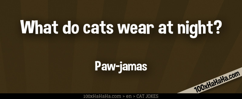 What do cats wear at night? / / Paw-jamas