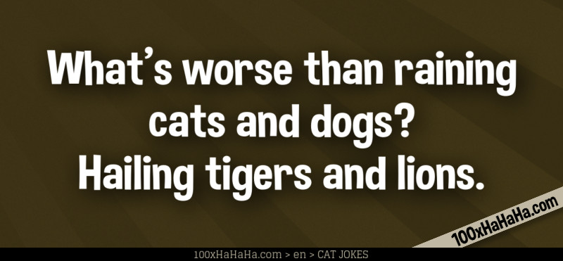 What's worse than raining cats and dogs? Hailing tigers and lions.