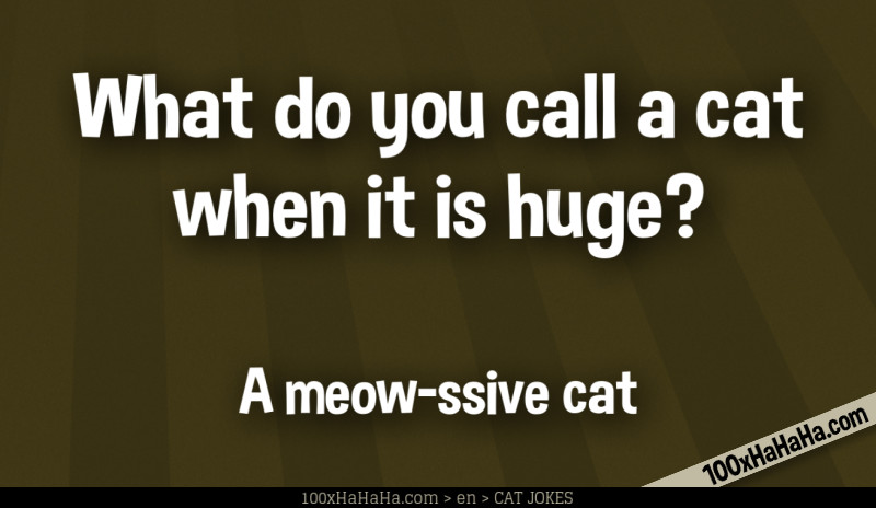 What do you call a cat when it is huge? / / A meow-ssive cat