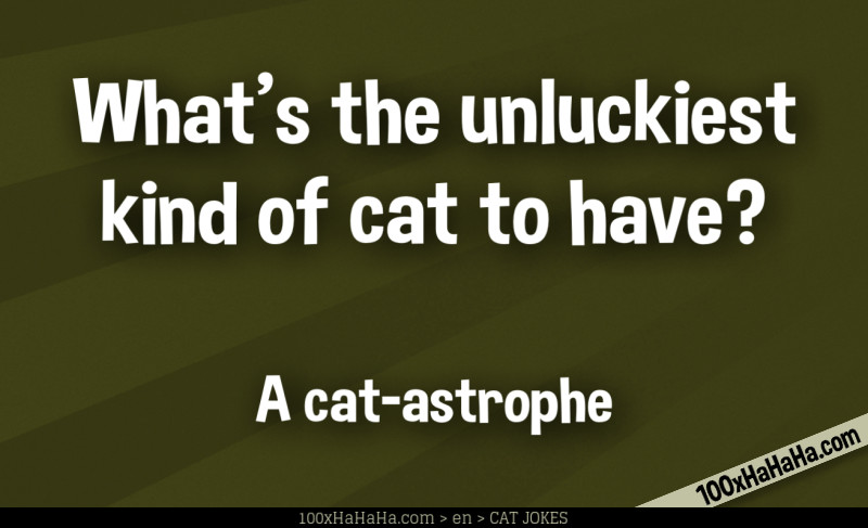 What's the unluckiest kind of cat to have? / / A cat-astrophe