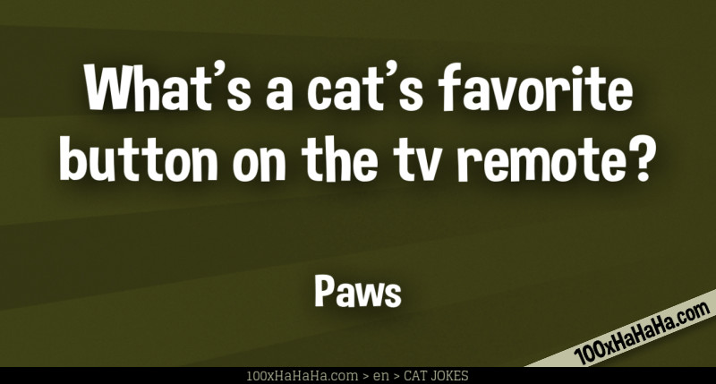 What's a cat's favorite button on the tv remote? / / Paws