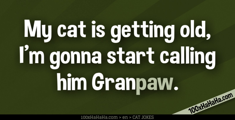 My cat is getting old, I'm gonna start calling him Granpaw.