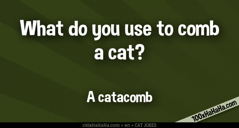 What do you use to comb a cat? / / A catacomb