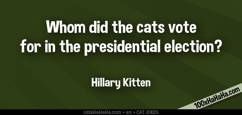 Whom did the cats vote for in the presidential election? / / Hillary Kitten