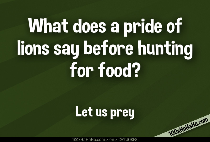 What does a pride of lions say before hunting for food? / / Let us prey