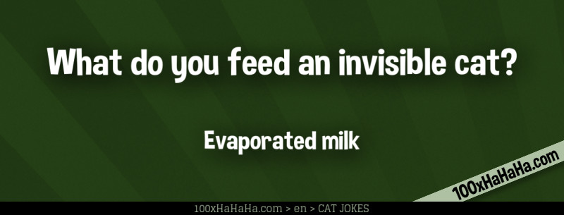 What do you feed an invisible cat? / / Evaporated milk