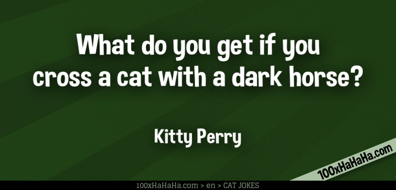 What do you get if you cross a cat with a dark horse? / / Kitty Perry