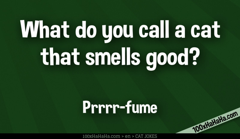 What do you call a cat that smells good? / / Prrrr-fume