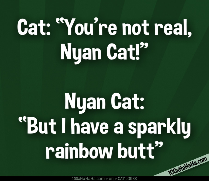 Cat: "You're not real, Nyan Cat!" —Nyan Cat: "But I have a sparkly rainbow butt"