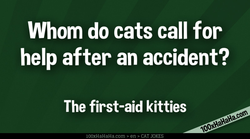 Whom do cats call for help after an accident? / / The first-aid kitties
