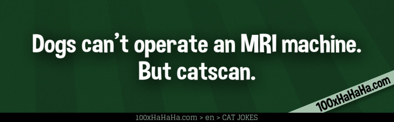 Dogs can't operate an MRI machine. But catscan.