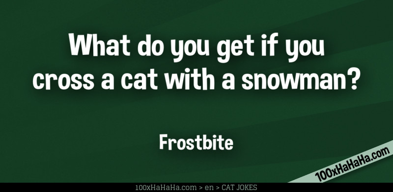 What do you get if you cross a cat with a snowman? / / Frostbite