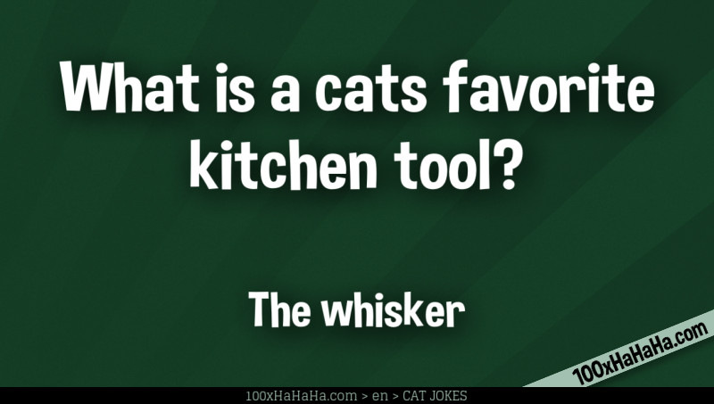 What is a cats favorite kitchen tool? / / The whisker