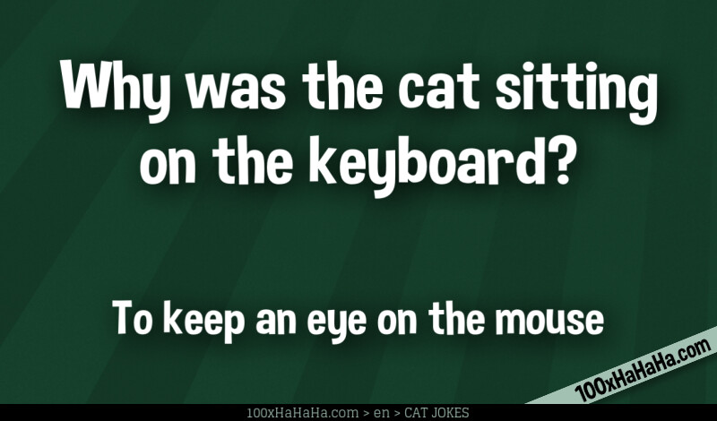Why was the cat sitting on the keyboard? / / To keep an eye on the mouse